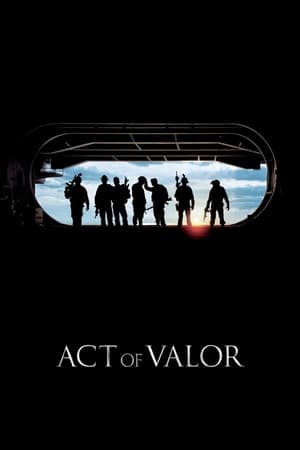 Act of Valor (2012) Hindi Dual Audio [1.1GB]