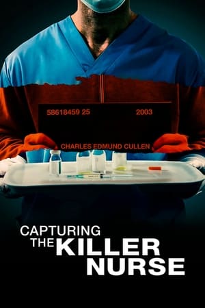 Capturing the Killer Nurse (2022) Hindi Dual Audio – 480p