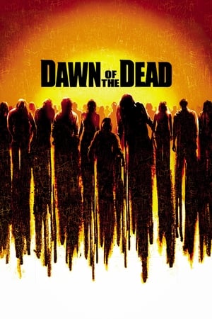 Dawn of the Dead (2004) Hindi Dual Audio 400MB
