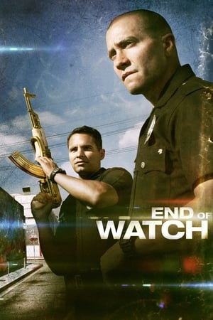 End of Watch (2012) Hindi Dual Audio 350MB
