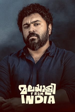 Malayalee from India (2024) [Hindi + Malayalam] – 480p – 1080p
