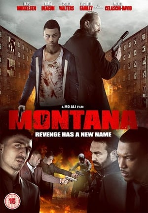 Montana (2014) Hindi Dual Audio [900MB]