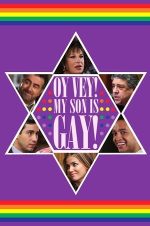 Oy Vey! My Son Is Gay!! (2009) Hindi Dual Audio [860MB]