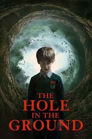 The Hole in the Ground 2019 Hindi Dual Audio [830MB]