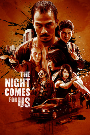 The Night Comes for Us (2018) Hindi Dual Audio [1GB]